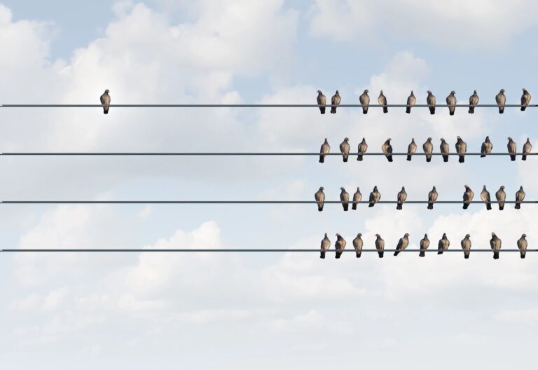 birds on a wire
