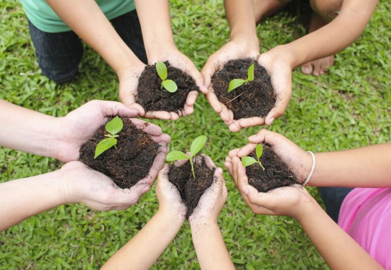 community involvement can help with local search